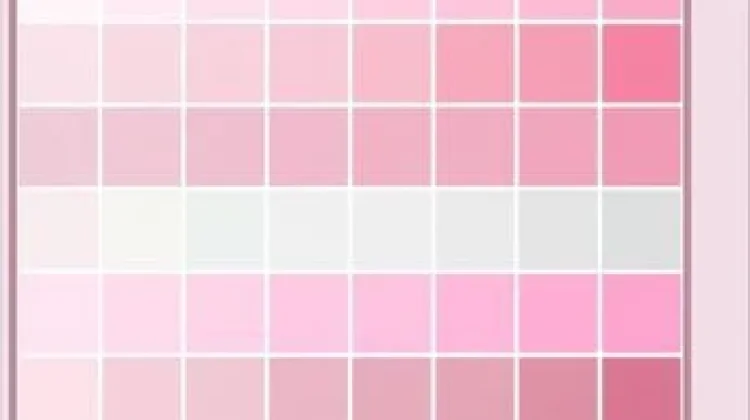 Melihat Pink dari Sisi Berbeda: Sejarah Unik hingga Efek Penenang Jiwa