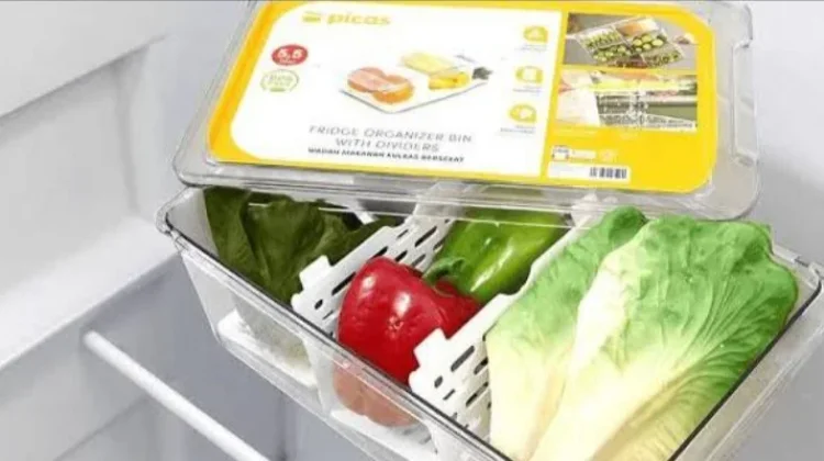 Menyimpan Sayur di Kulkas agar Tidak Cepat Busuk