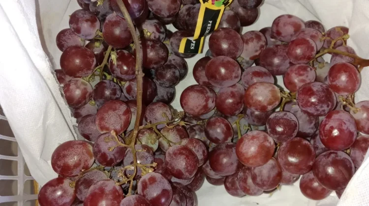 Segudang Manfaat bagi Kesehatan Buah Anggur