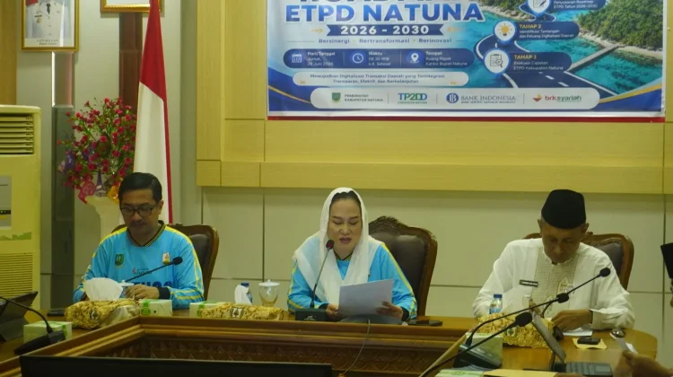 Bupati Natuna Pimpin High Level Meeting TP2DD