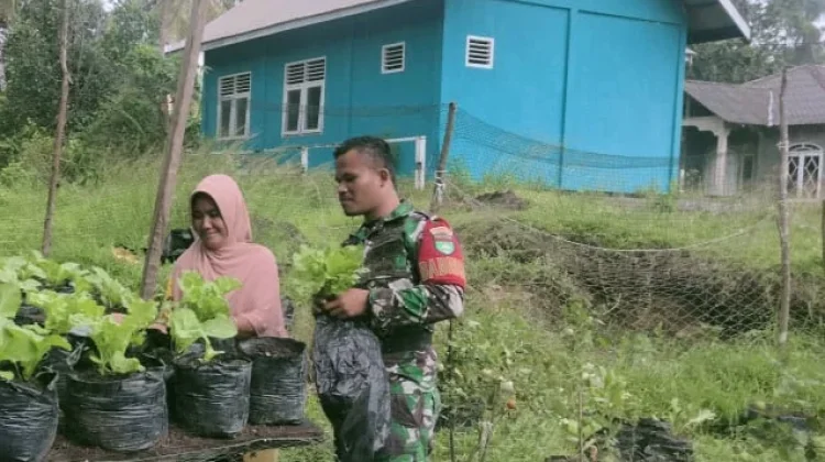 Babinsa Kadur Dukung Petani Sayur