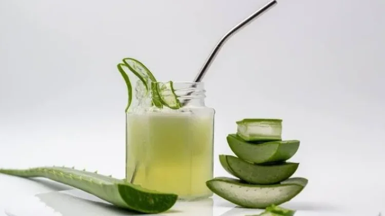 Fakta Lidah Buaya, Tanaman Herbal yang Kaya Manfaat