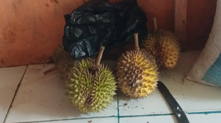 Buah Durian Raja Buah dengan Cita Rasa Istimewa