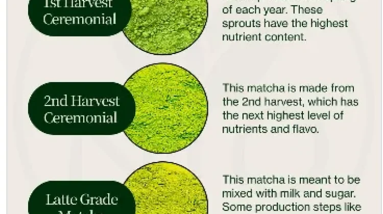 Perbedaan Level Matcha, Kenali Kualitas sebelum Memilih