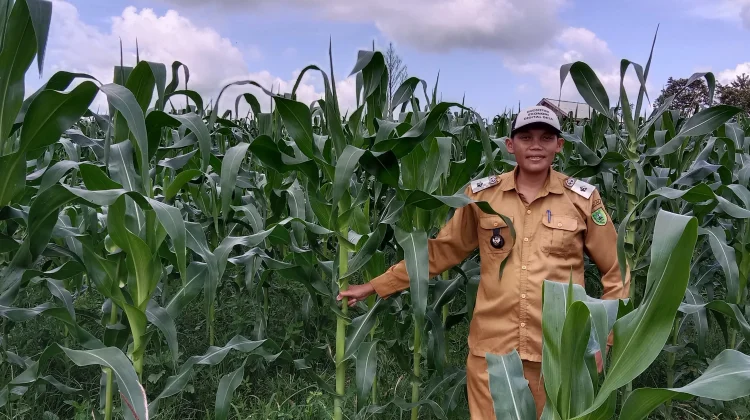 Desa Air Lengit dan Kelurahan Ranai Darat Raih Prestasi di Tingkat Provinsi