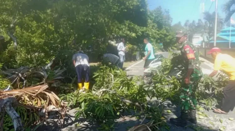 Babinsa Serasan Bantu warga Membersihkan Dahan Pohon yang Jatuh Menutupi Jalan