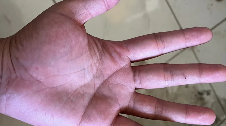 Mitos Garis Tangan: Benarkah Dapat Meramalkan Nasib Seseorang?