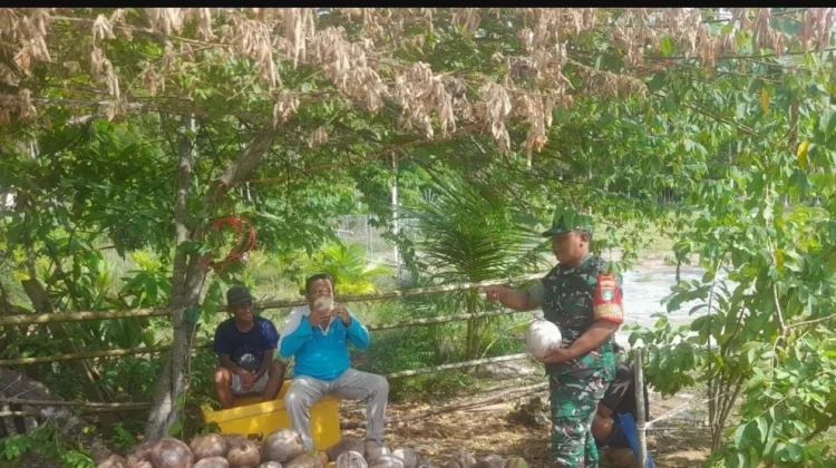 Babinsa Serantas Gelar Komsos Bersama Warga Pembuat Kopra
