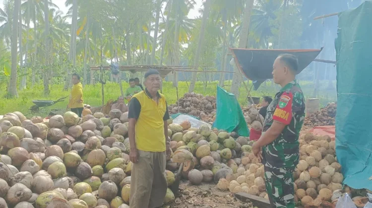 Babinsa Desa Cemaga Laksanakan Komsos dengan Petani Kelapa