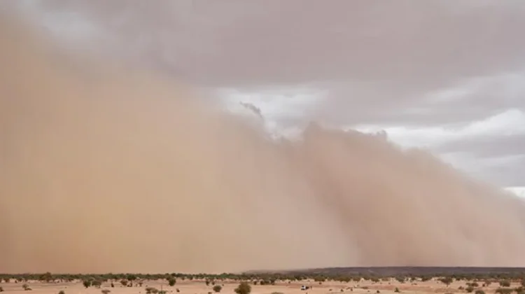 Mengenal Hari Internasional Penanggulangan Badai Pasir dan Debu Setiap 12 Juli