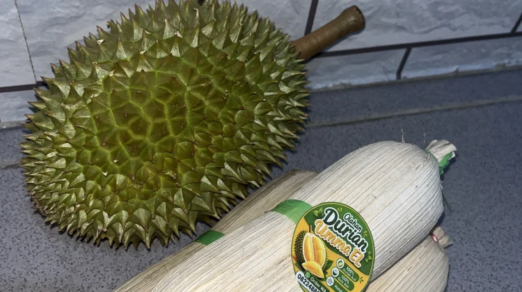 Musim Durian, UMKM Mulai Dagangkan Produk Olahan Durian