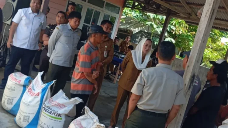 Keperluan Akan Pupuk Subsidi