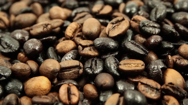Mengenal Perbedaan Kopi Robusta dan Arabika