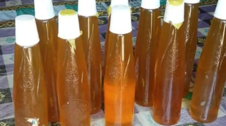 Madu Natuna, Pemanis Alami dengan Beragam Manfaat bagi Kesehatan