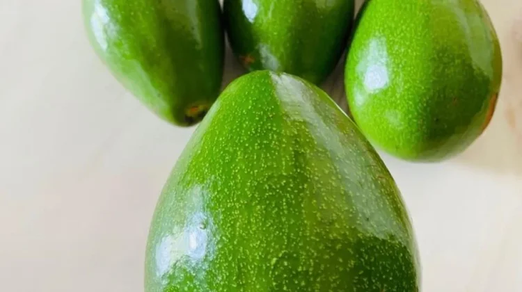 Tips Mempercepat Proses Pematangan Alpukat