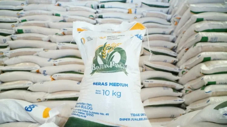Pemerintah Salurkan 997,2 Ribu Ton Beras Mulai Agustus, Jangkau 33,24 Juta KPM