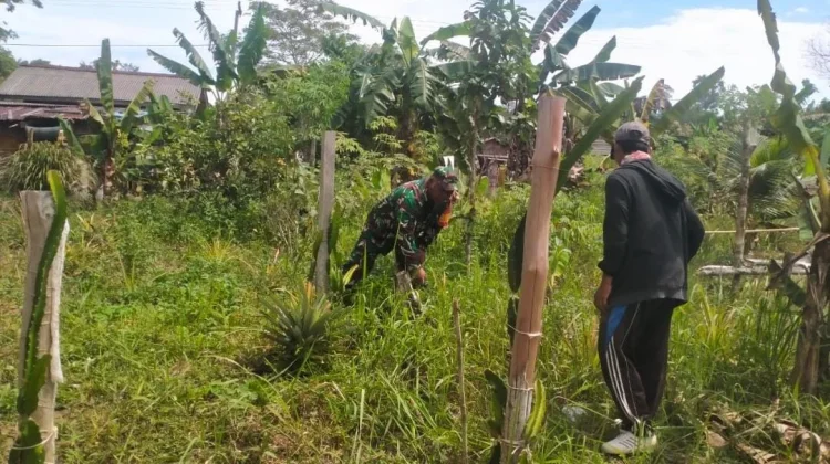 Pererat Kebersamaan, Babinsa Semedang Bantu Warga Bersihkan Kebun