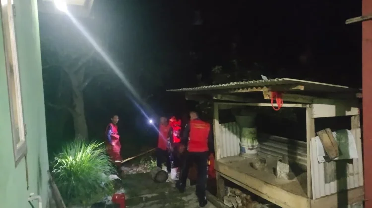 Damkar Natuna Musnahkan Sarang Tawon Dekat Rumah Warga
