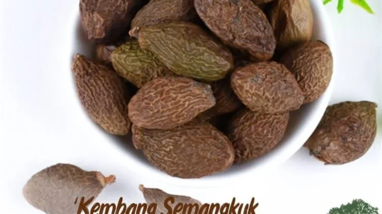LAPPAN akan Mediasi Panen Kembang Semangkok
