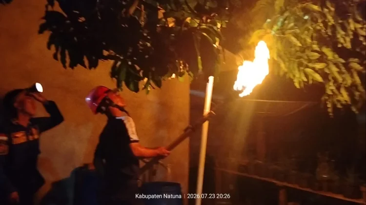 Damkar Natuna Evakuasi Sarang Tawon di Permukiman Warga Bandarsyah