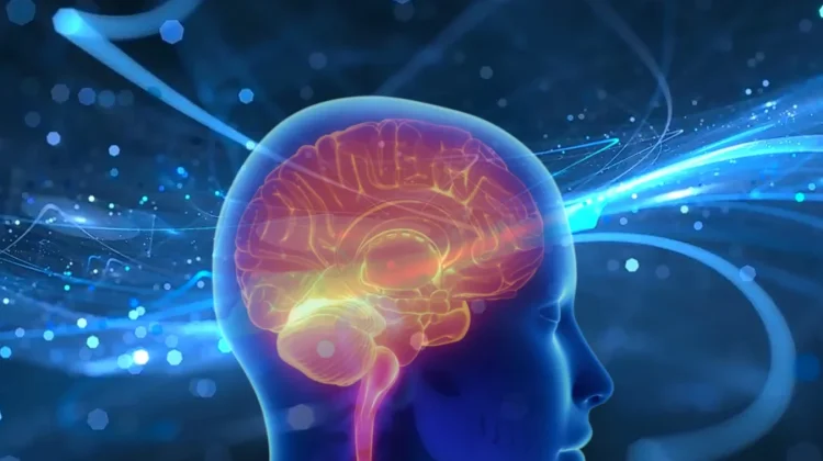 Kebiasaan Sehari-hari yang Bisa Mempercepat Penuaan Otak