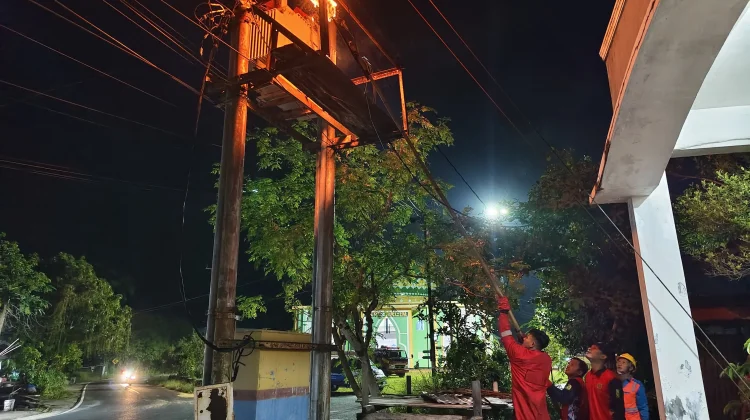 Damkar Natuna Evakuasi Sarang Tawon di Gardu   PLN Ranai Darat