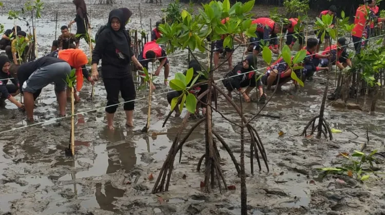 DLH Ajak Masyarakat Jaga Ekosistem Mangrove