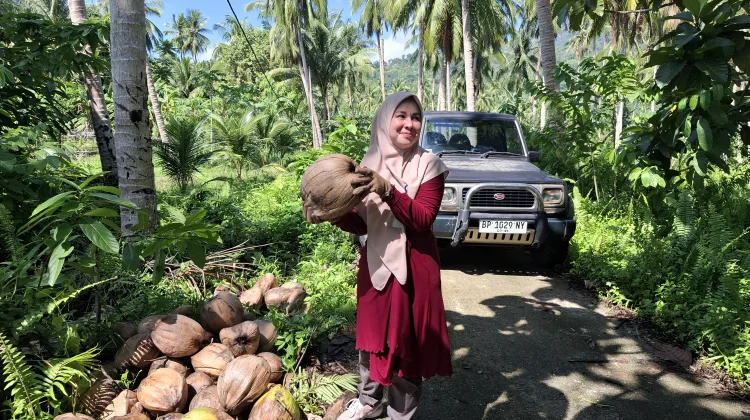 DKPP Natuna Tinjau Calon Sumber Benih Kelapa dalam di Sepempang