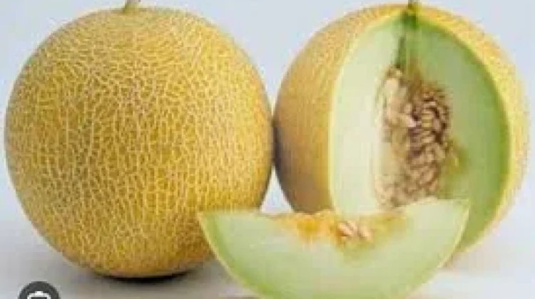 Manfaat Buah Melon untuk Kesehatan Optimal Ibu Hamil