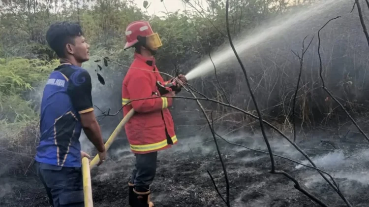 Damkar Natuna Berhasil Tangani Kebakaran Lahan di Sedarat Baru Batubi
