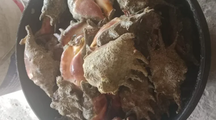 Mengolah Sajian Kerang Ranga Gurih ala Mak Cik Sur