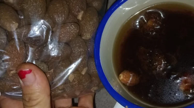 Khasiat Buah Kembang Semangkok