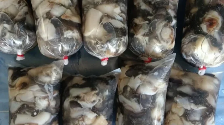 Resep Tumis Kerang Pasek Pedas Gurih ala Vira Khas Natuna