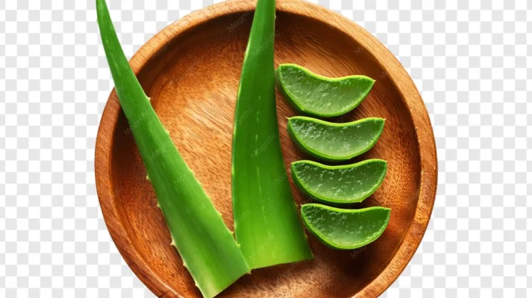 Manfaat Masker Lidah Buaya untuk Wajah