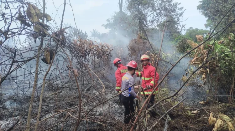 Lahan Seluas Satu Hektare Area Perumahan Pemda Natuna Terbakar