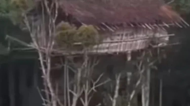 Mengenal Rumah Suku Karawoi