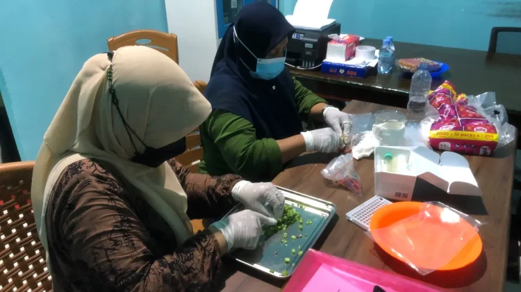 DKPP Natuna Uji Sampel PSAT di SPPG Bunguran Batubi