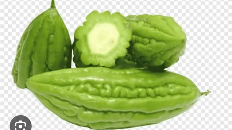 Manfaat Buah Pare untuk Kesehatan Tubuh