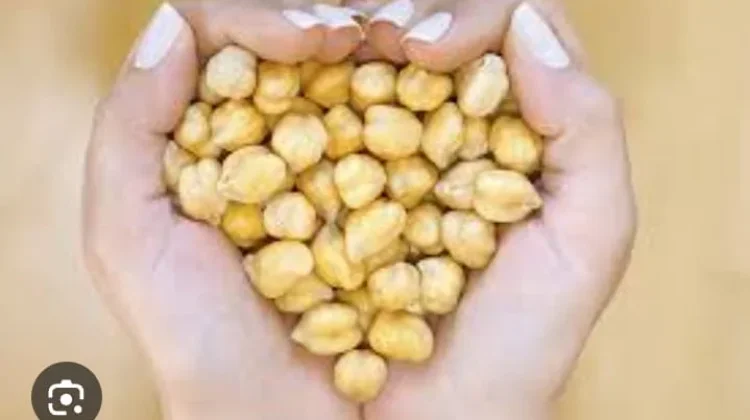 10 Manfaat Kacang Arab