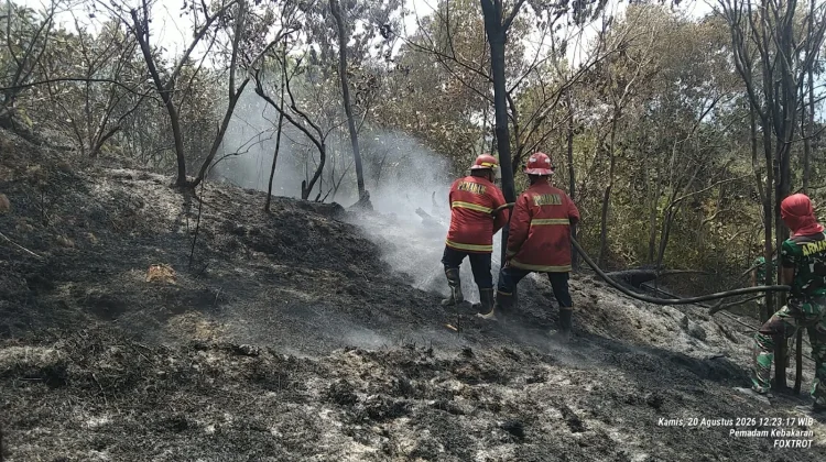 Lahan Seluas Empat Hektare di Sebayar Terbakar