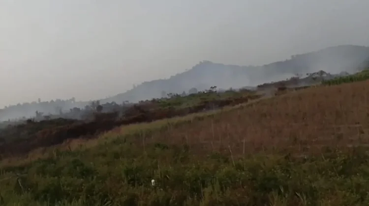 Tim BPBD Natuna Padamkan Kebakaran Lahan Gambut di Gunung Putri