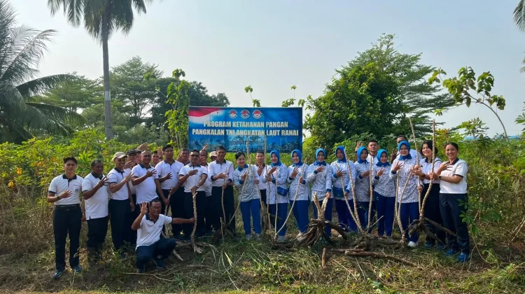 Panen Singkong Lanal Ranai Hasilkan 4 Ton, Dukung Ketahanan Pangan