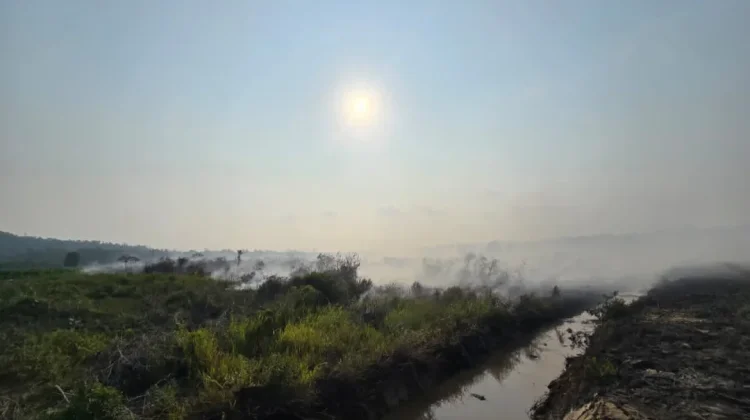 Camat Bunguran Utara Imbau Warga Waspadai Karhutla