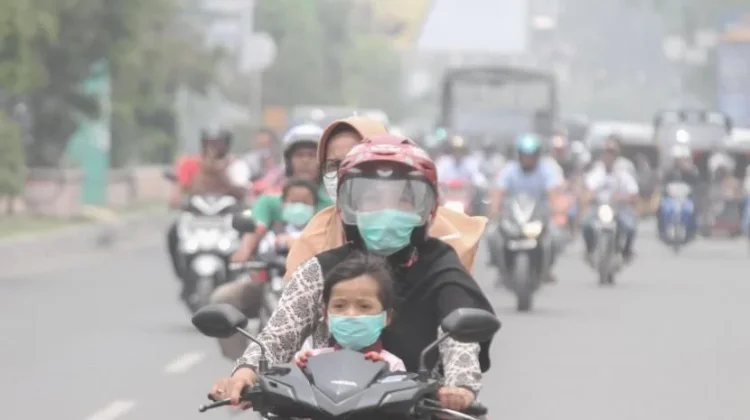 Kabut Asap Karhutla Selimuti Ranai Warga Diminta Waspada ISPA