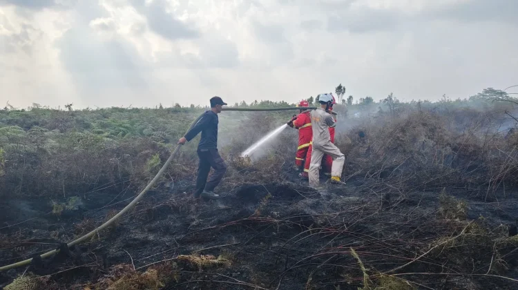 Kebakaran Lahan di Jalur Batubi-Kelarik, 7 Hektare Terbakar
