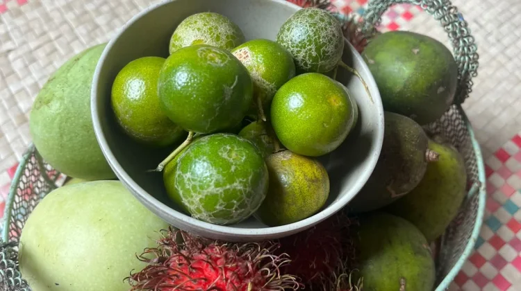 Hindari Cepat Busuk, Ini 6 Cara Menyimpan Buah agar Tahan Lama