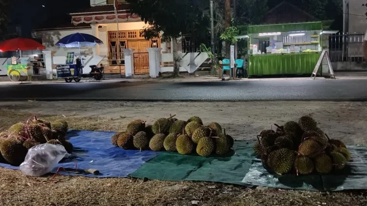 Harga Durian di Ranai Turun, Buah Raja Kini Lebih Ramah di Kantong