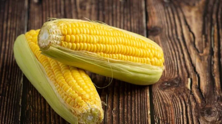 Kenali Manfaat Jagung bagi Kesehatan Tubuh