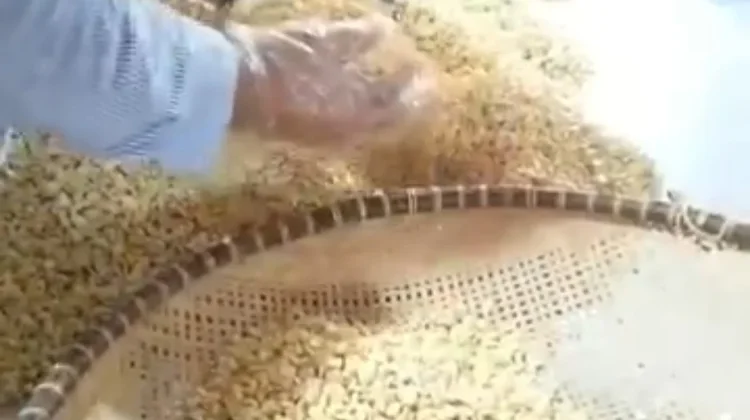 Tempe Adara Bertahan di tengah Persaingan Lauk