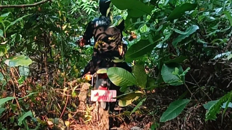 SAR Natuna Berhasil Temukan 4 Warga yang Tersesat di Hutan Gunung Bedung